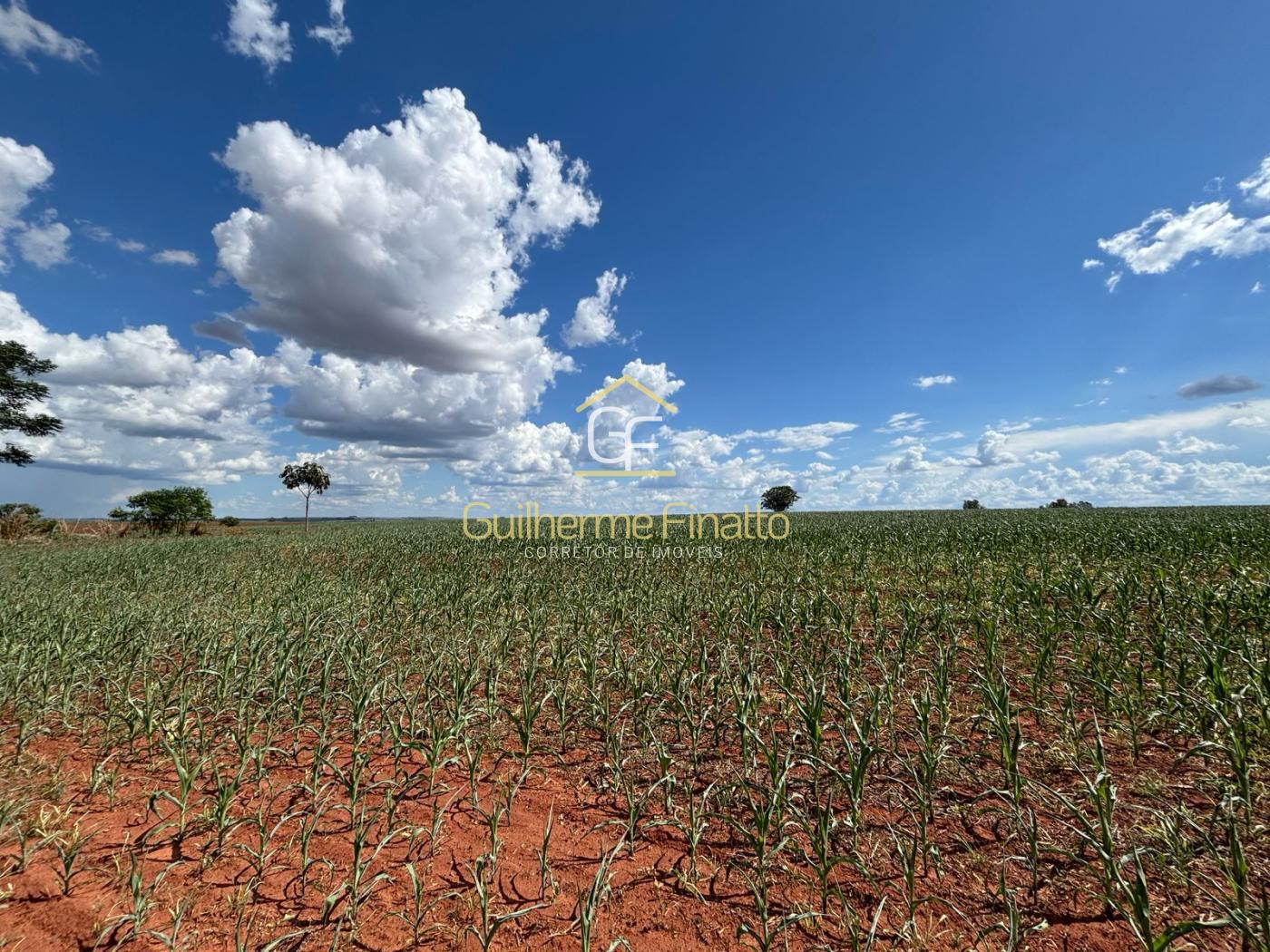 Loteamento e Condomínio, 67 hectares - Foto 5