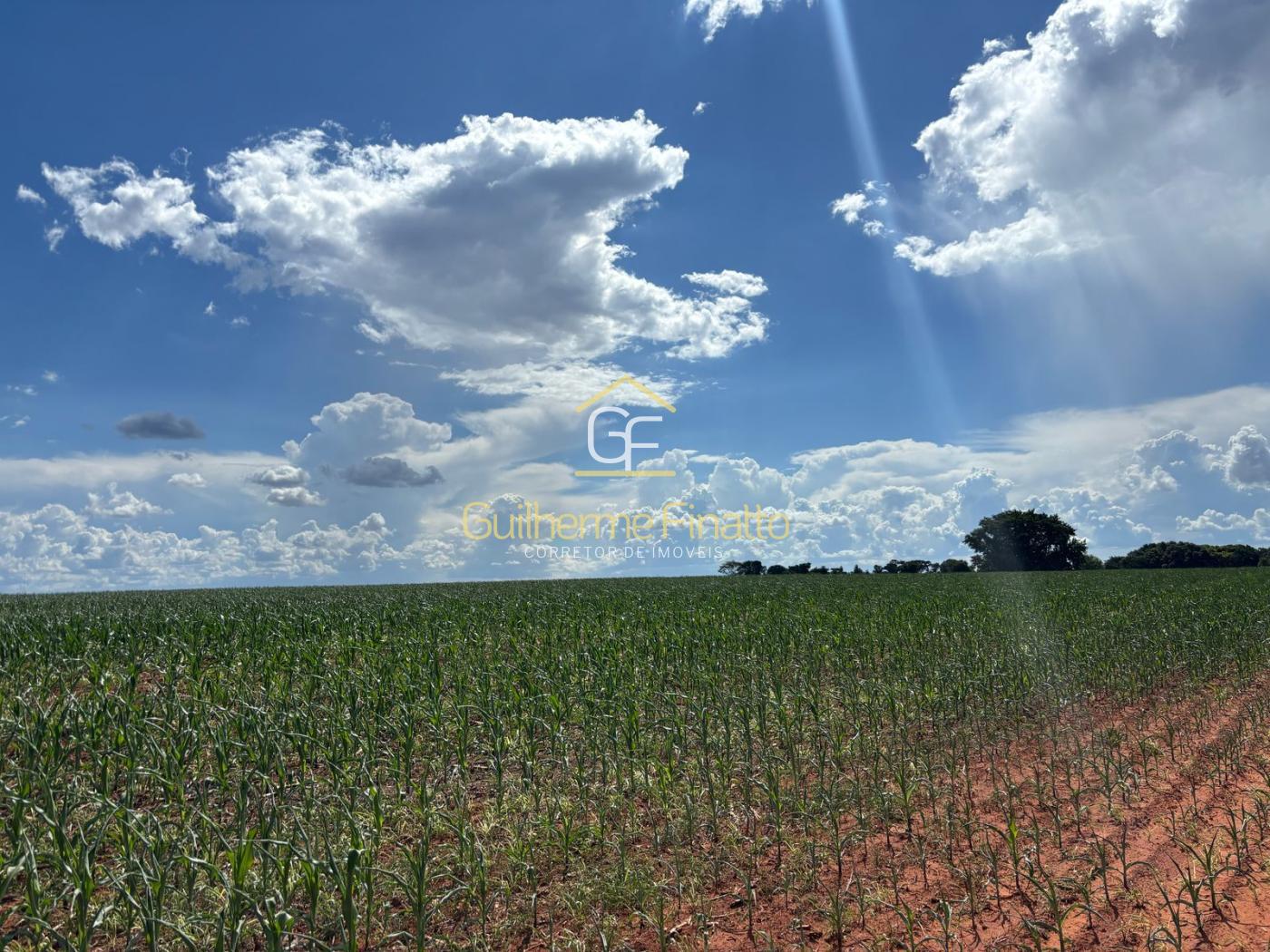 Loteamento e Condomínio, 67 hectares - Foto 7