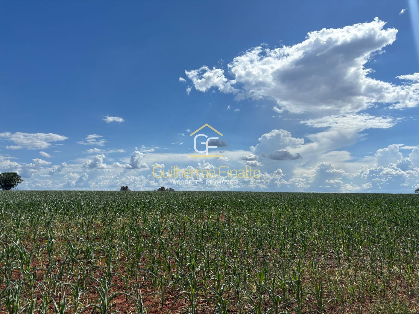 Loteamento e Condomínio, 67 hectares - Foto 9