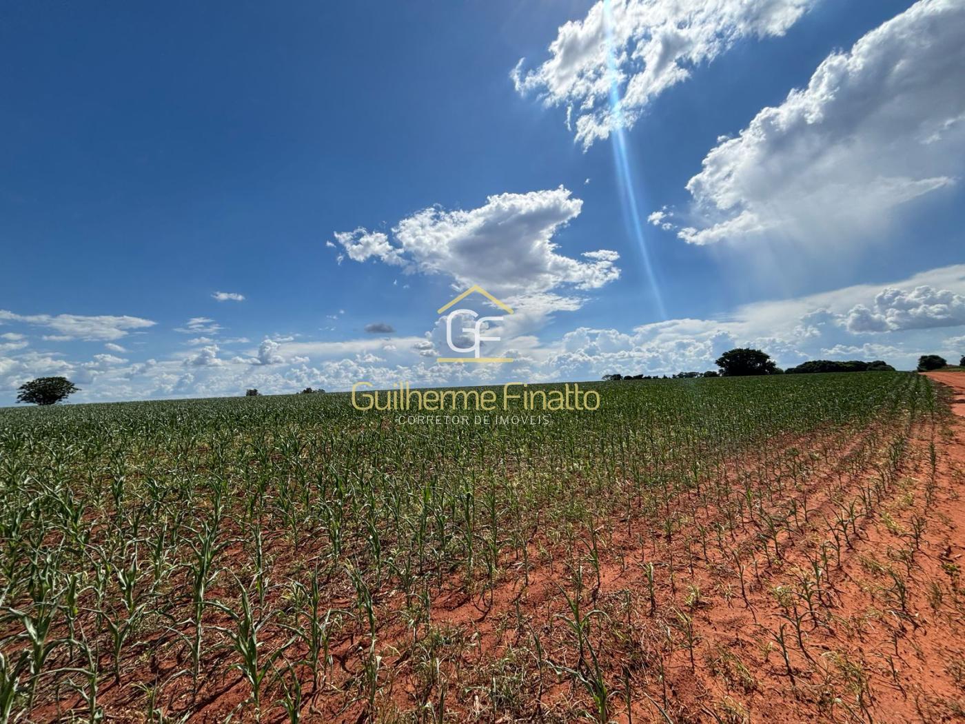 Loteamento e Condomínio, 67 hectares - Foto 8